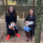 5 lugares pra passar o domingo em família perto de Curitiba (com almoço)