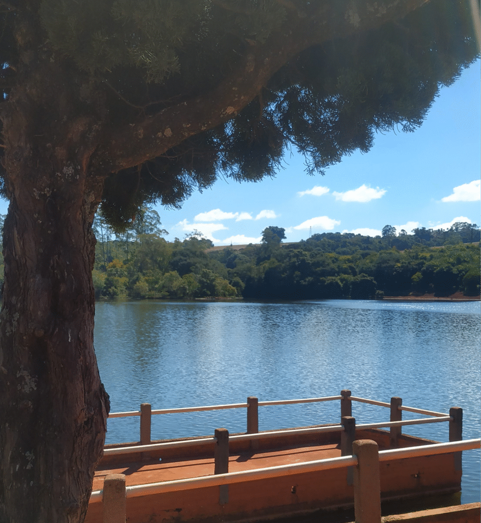 uma árvore emoldura a foto que traz ao fundo um grande lago cercado de mata e um pequeno deco de madeira. é o parque da raposa