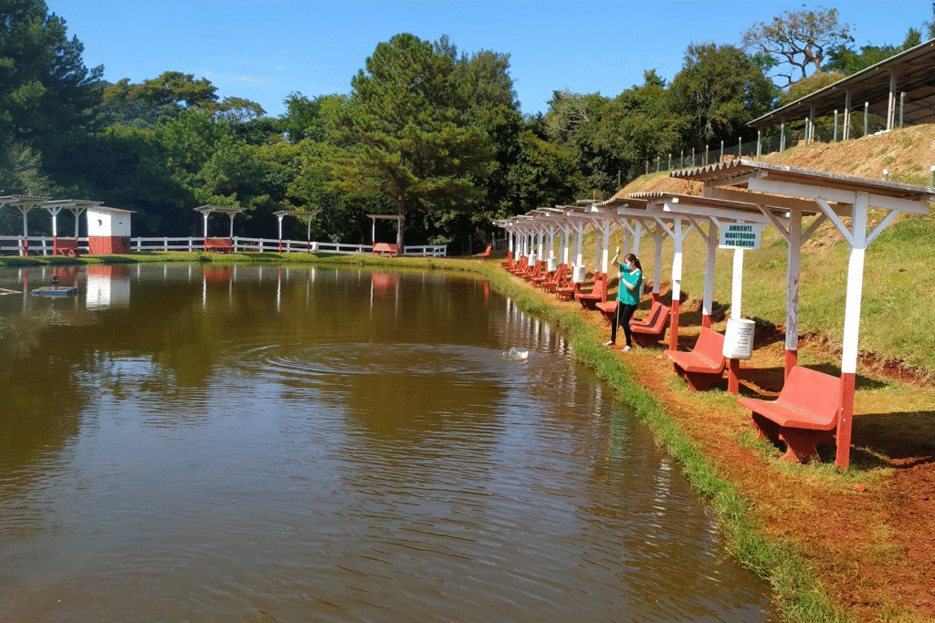 Um grande lago de pesque-pague e eu ao centro pescando com uma varinha de pesca na margem
